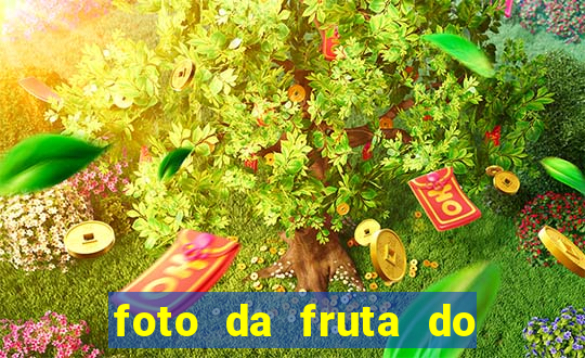 foto da fruta do blox fruits